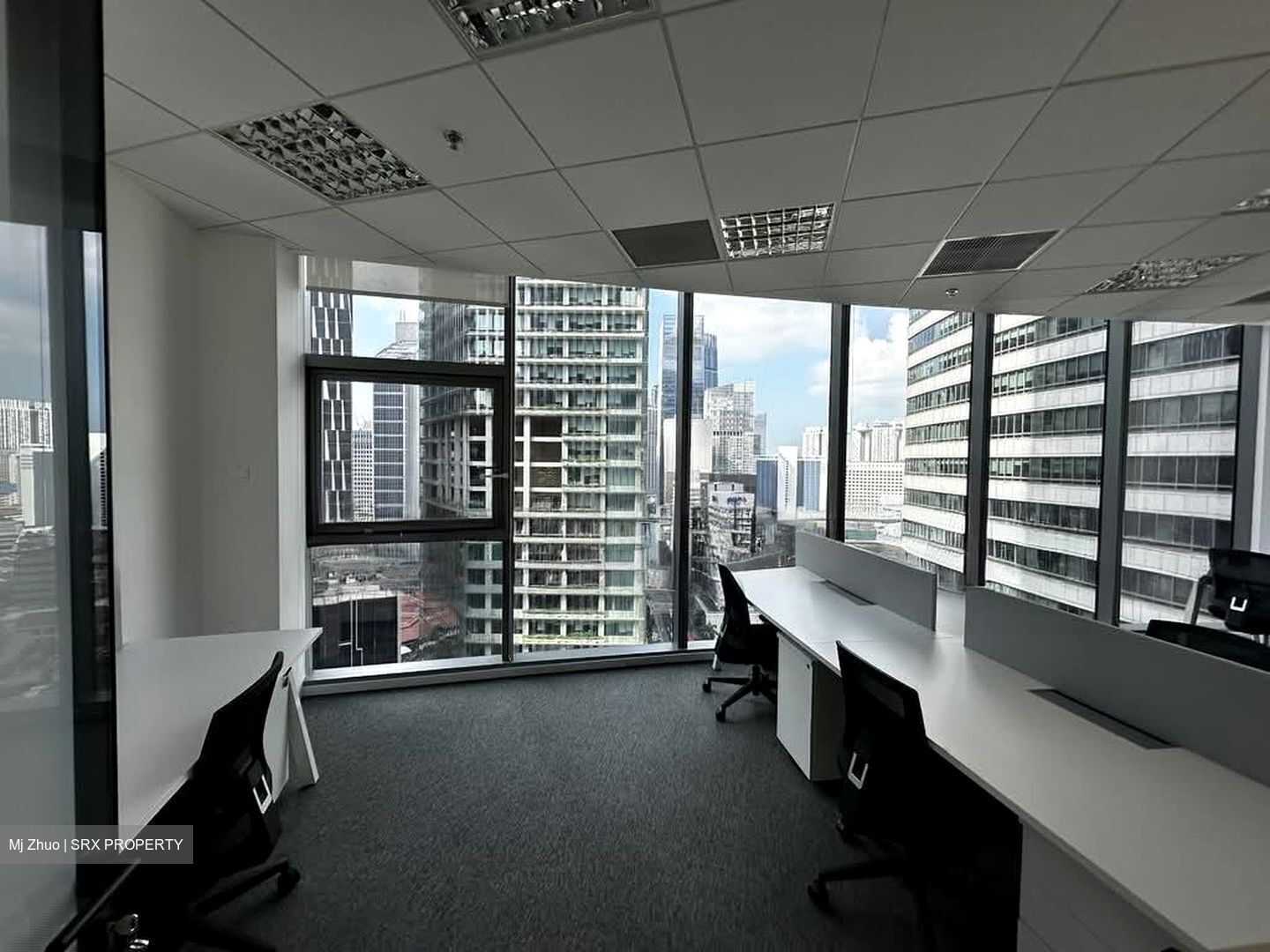 PLUS (D1), Office #543093741